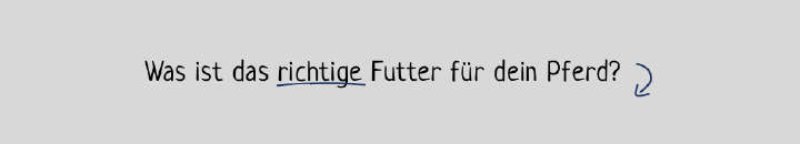 derby sortiment pferdefutter filtertext derby sortiment pferdefutter filtertext